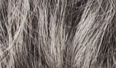 51: silbergrau mit 20% dunkelbraun; dark brown blended 70% gray