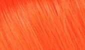 Farbe: RED